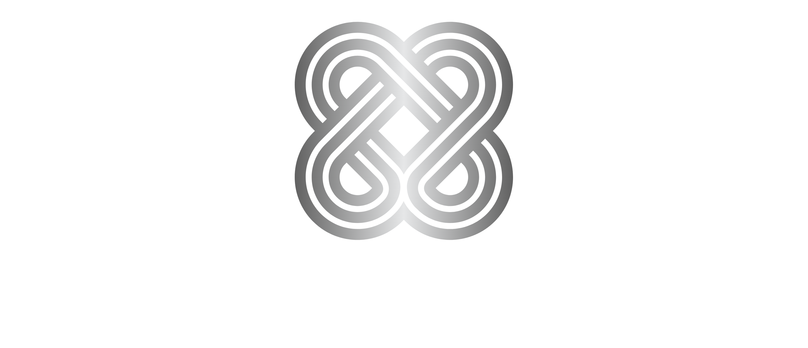 Synesis Development